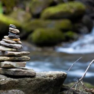 The Power of Slowing Down: Tending to Our Nervous System in Changing Times